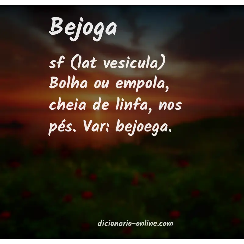 Significado de bejoga