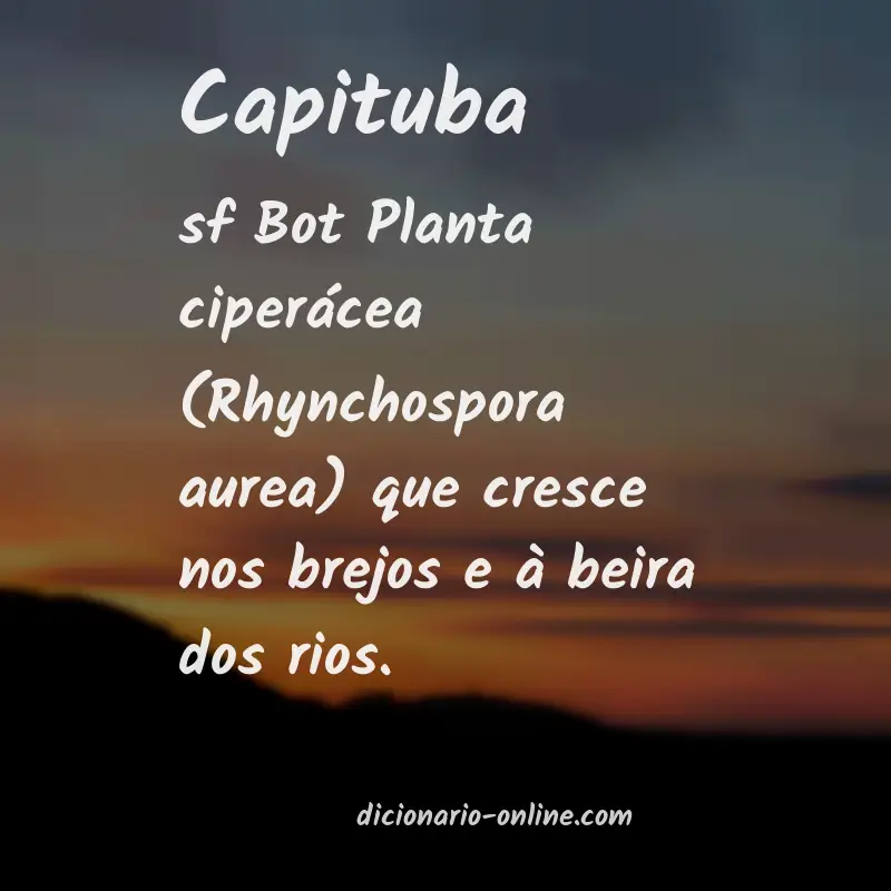 Significado de capituba