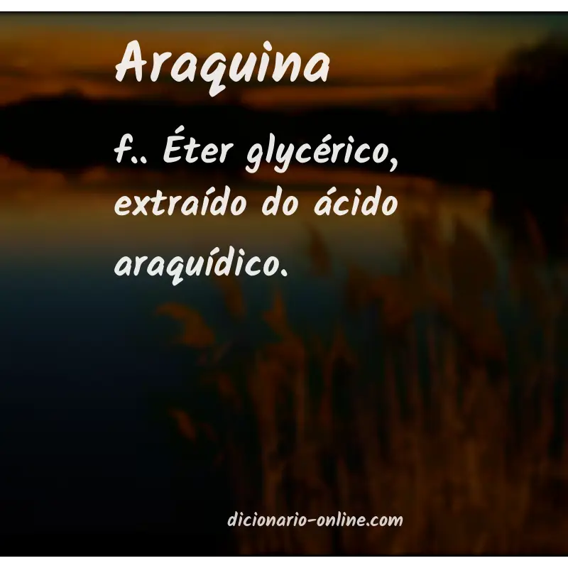Significado de araquina
