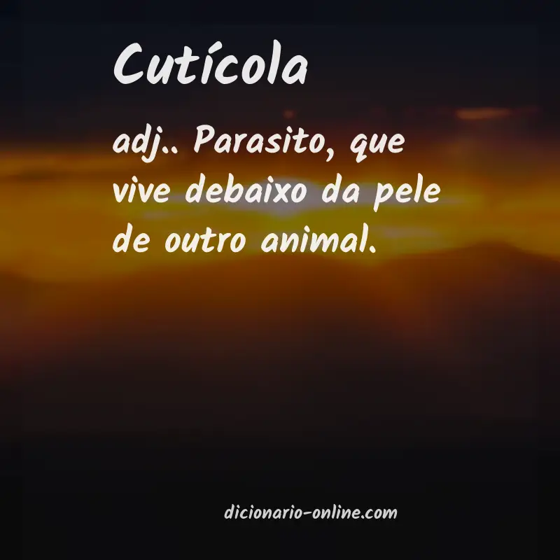Significado de cutícola