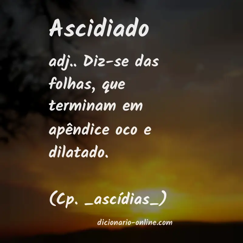 Significado de ascidiado