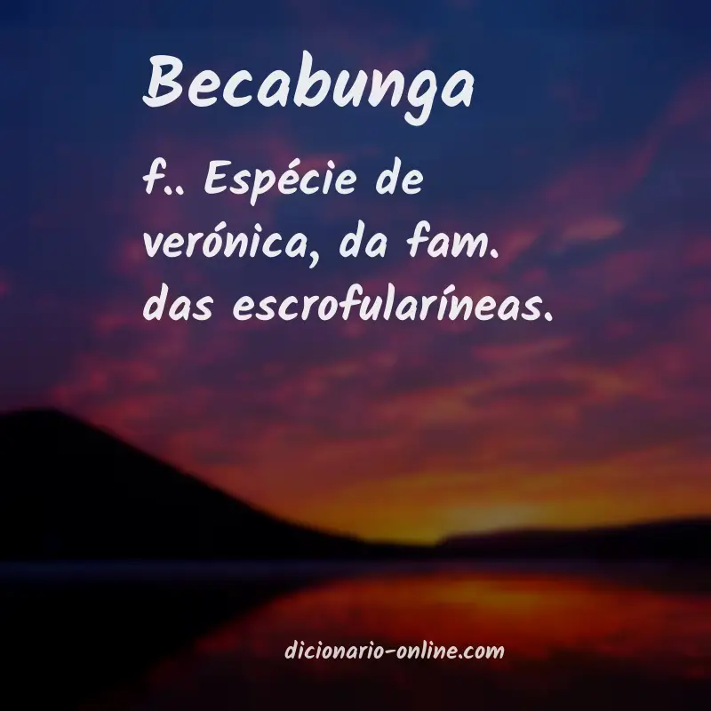Significado de becabunga