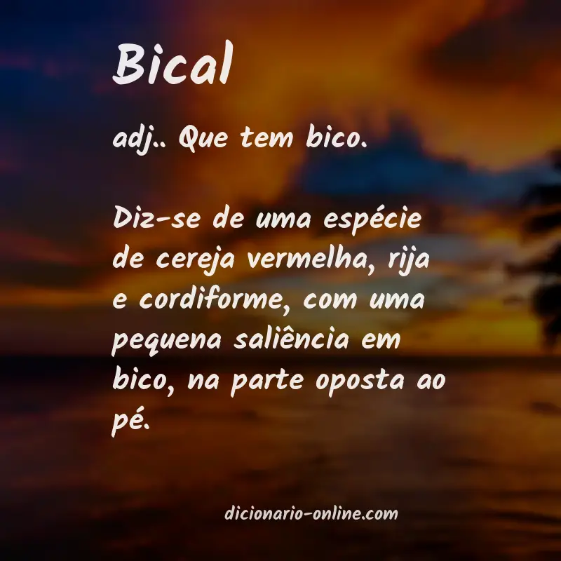 Significado de bical
