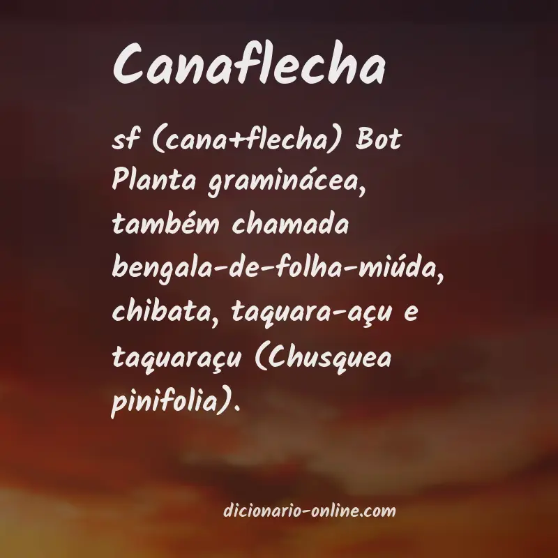 Significado de canaflecha