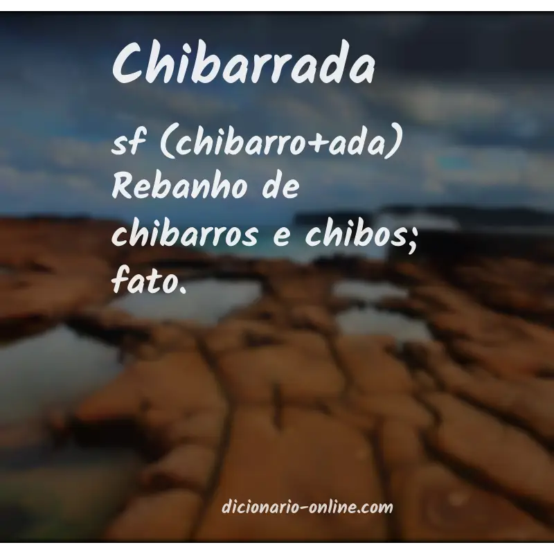 Significado de chibarrada