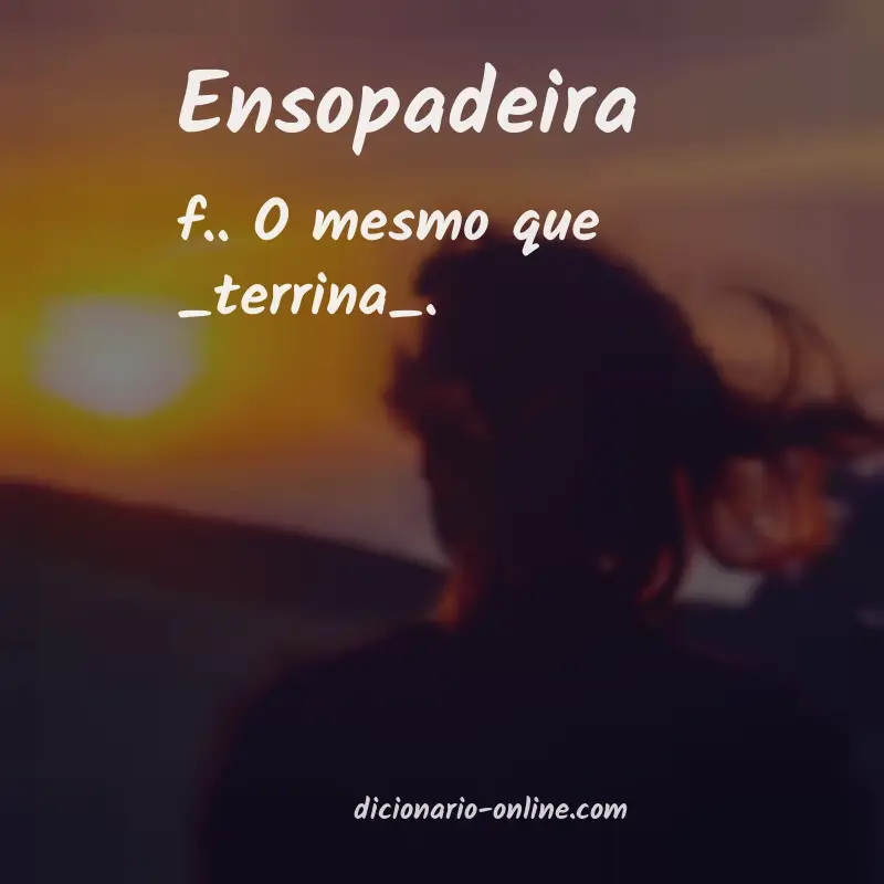 Significado de ensopadeira