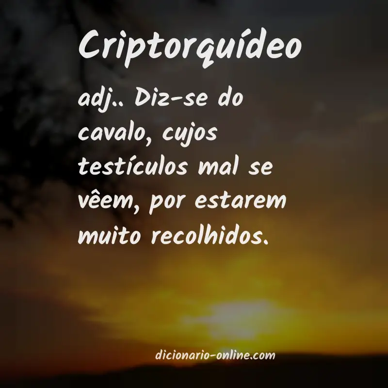 Significado de criptorquídeo