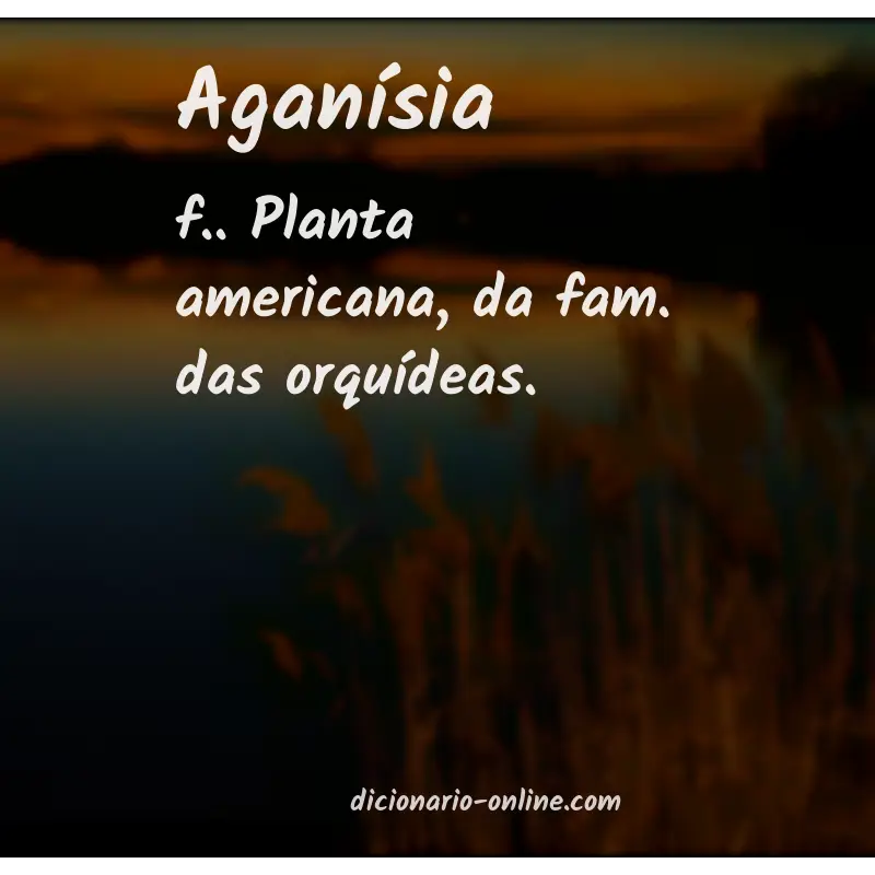 Significado de aganísia