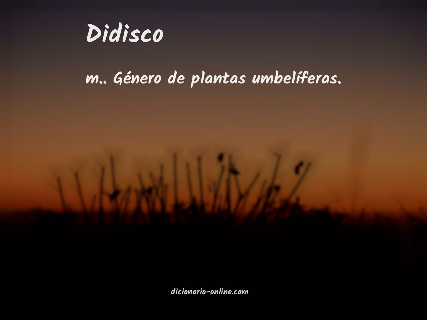 Significado de didisco