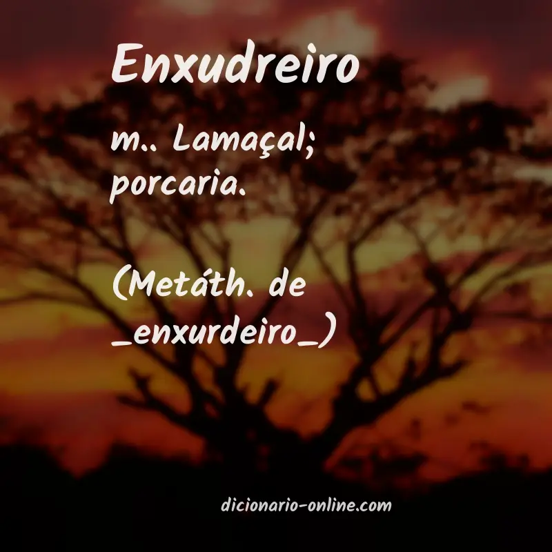 Significado de enxudreiro
