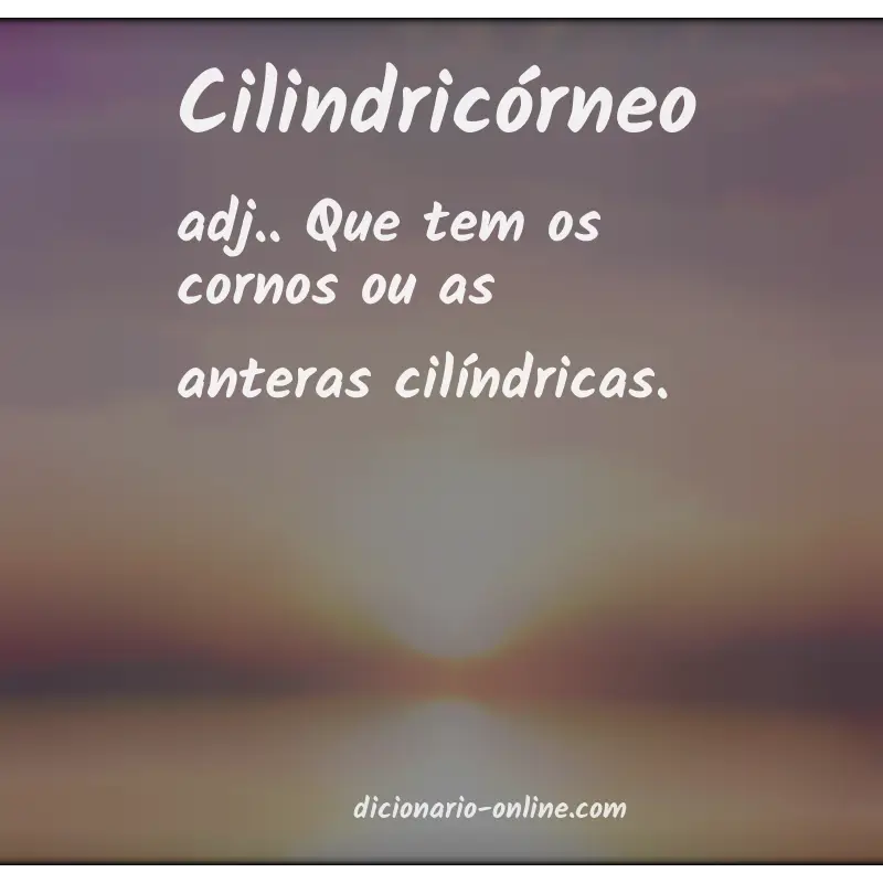 Significado de cilindricórneo