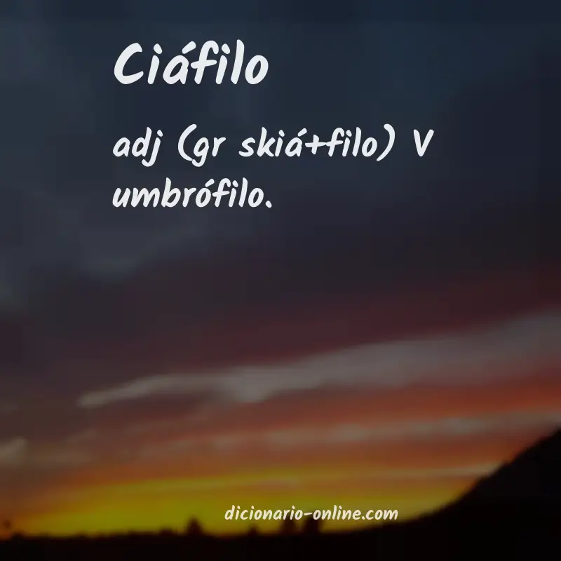 Significado de ciáfilo