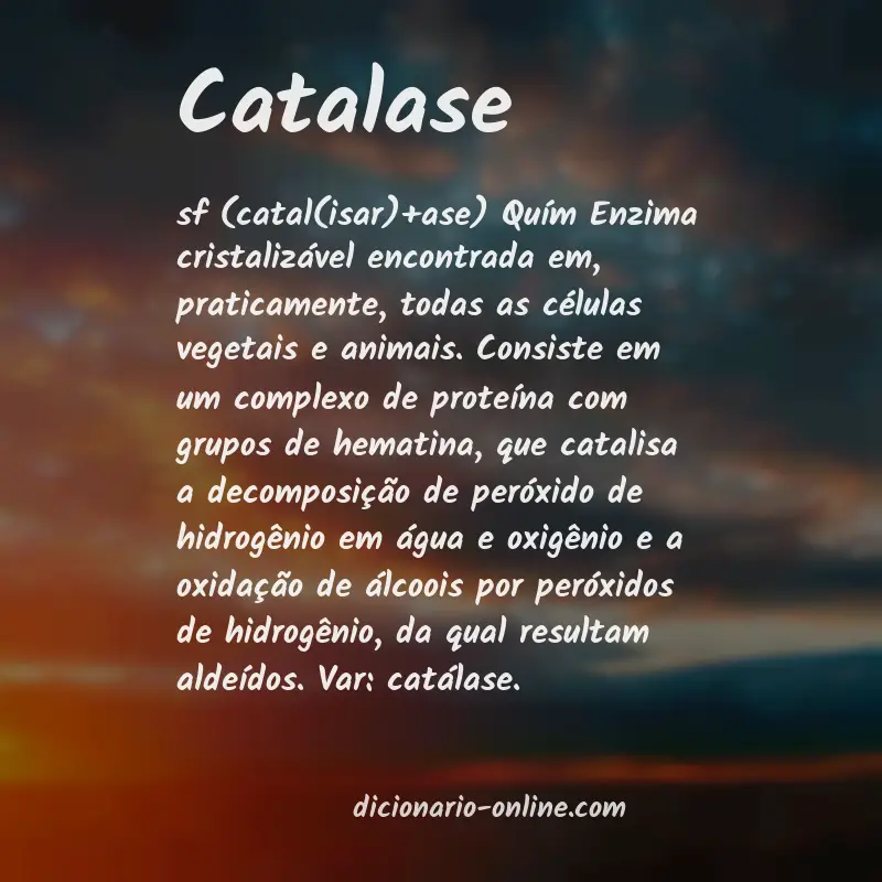 Significado de catalase