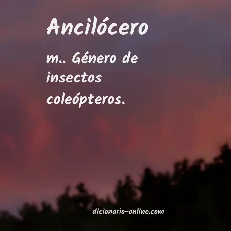 Significado de ancilócero