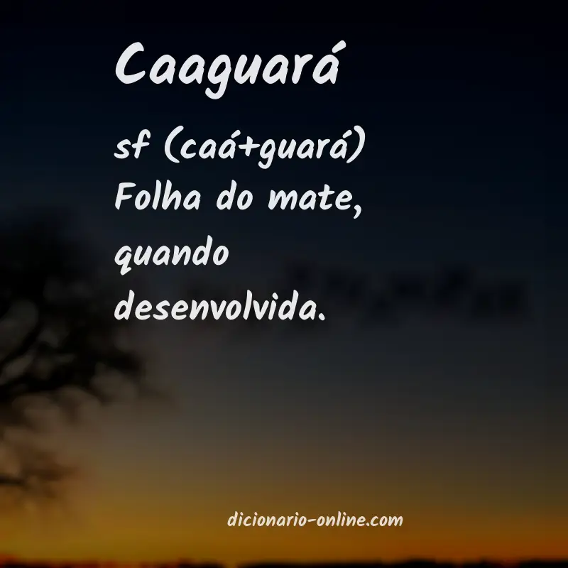 Significado de caaguará