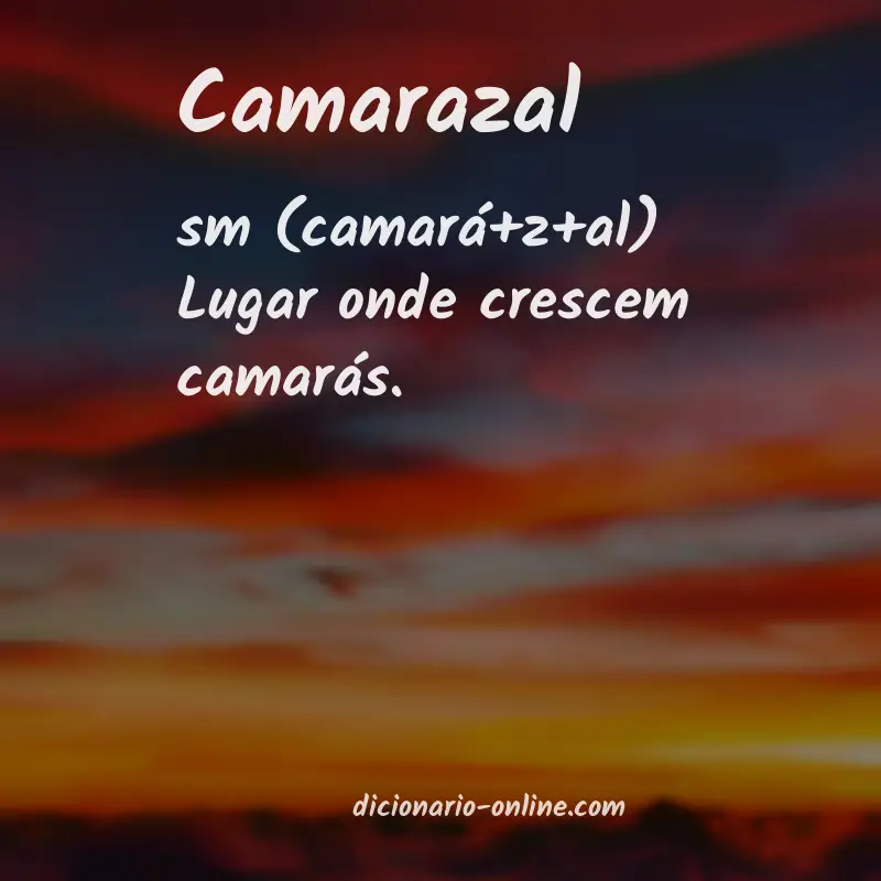 Significado de camarazal
