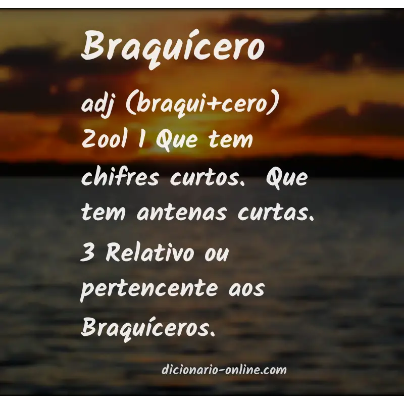 Significado de braquícero