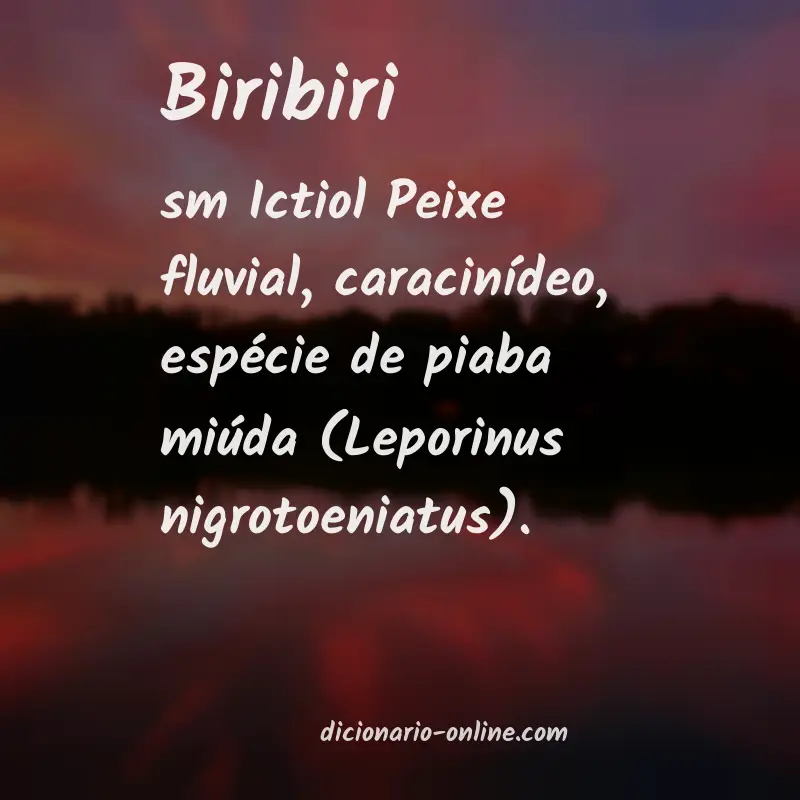 Significado de biribiri