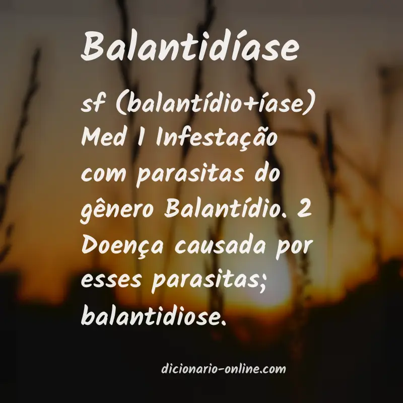 Significado de balantidíase