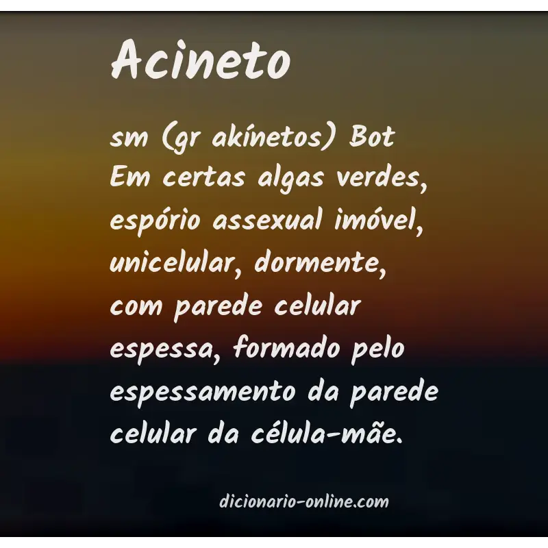 Significado de acineto