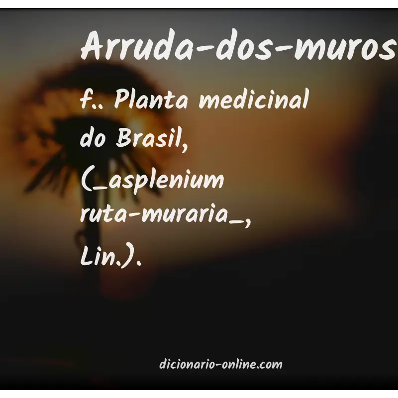 Significado de arruda-dos-muros