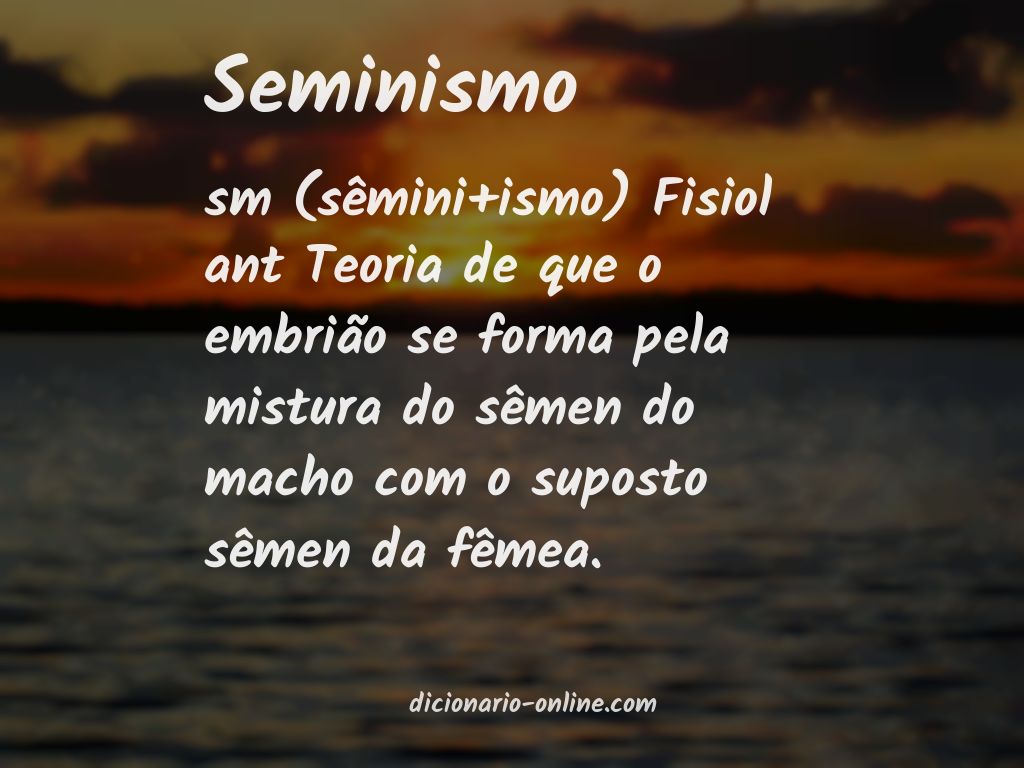 Significado de seminismo