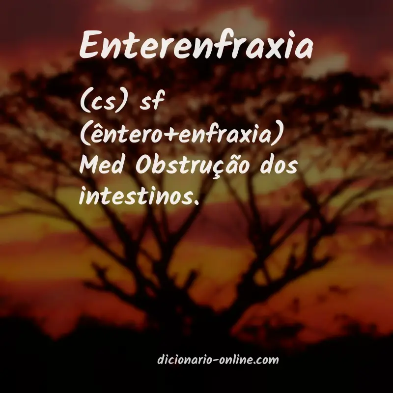 Significado de enterenfraxia