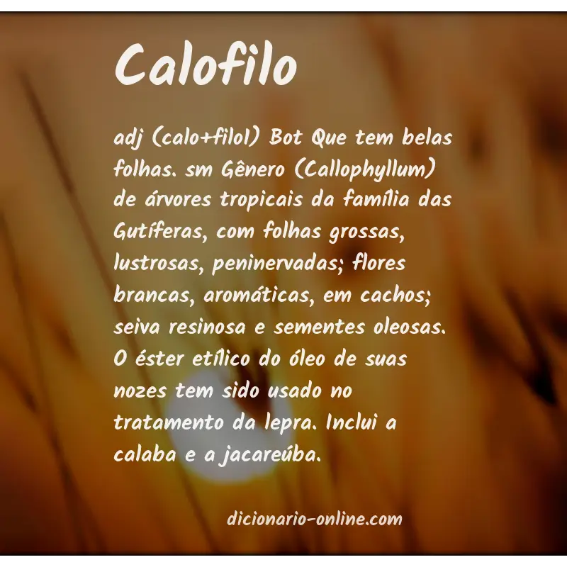 Significado de calofilo