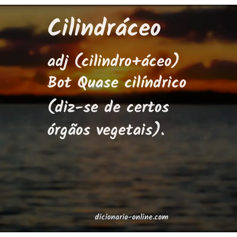 Significado de cilindráceo