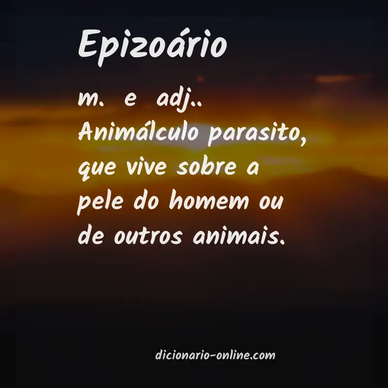Significado de epizoário