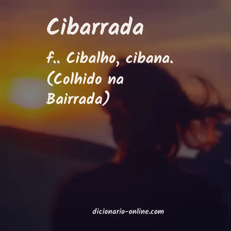 Significado de cibarrada