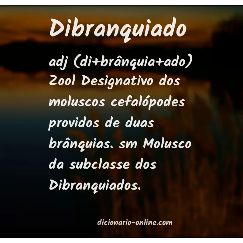 Significado de dibranquiado