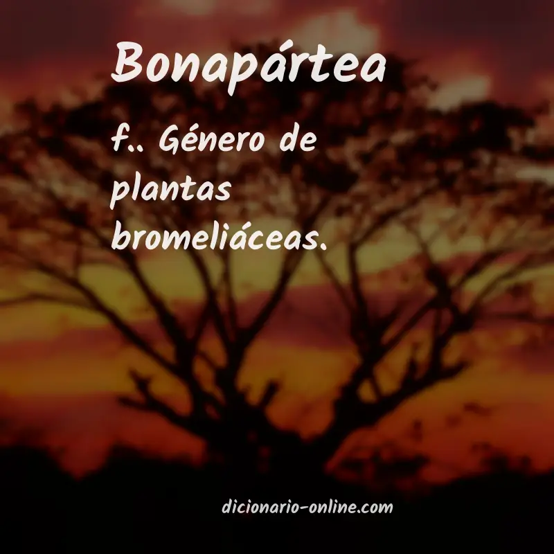 Significado de bonapártea