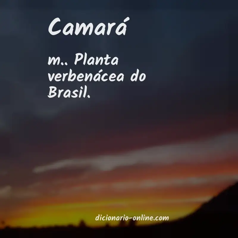 Significado de camará