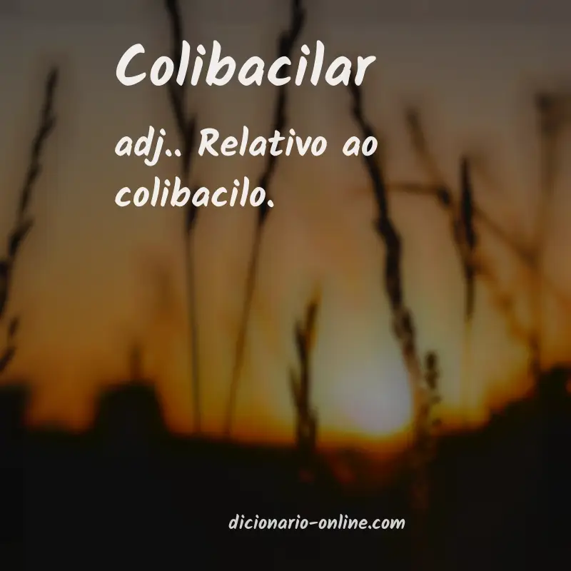 Significado de colibacilar