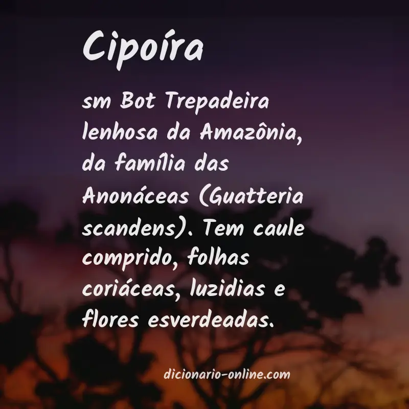 Significado de cipoíra