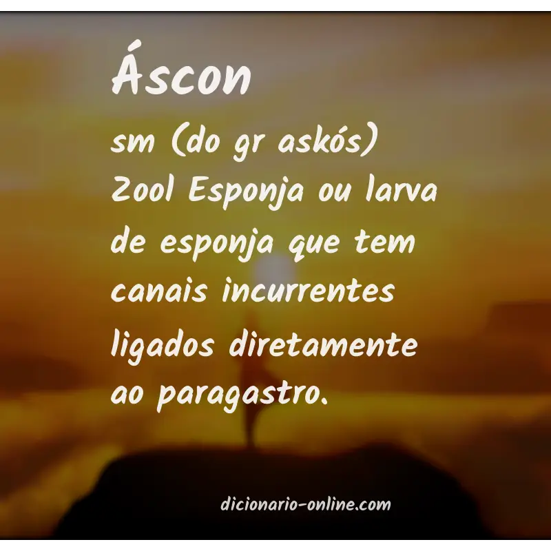 Significado de áscon