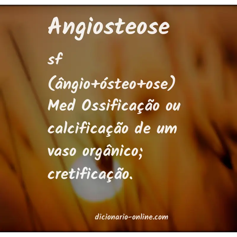 Significado de angiosteose