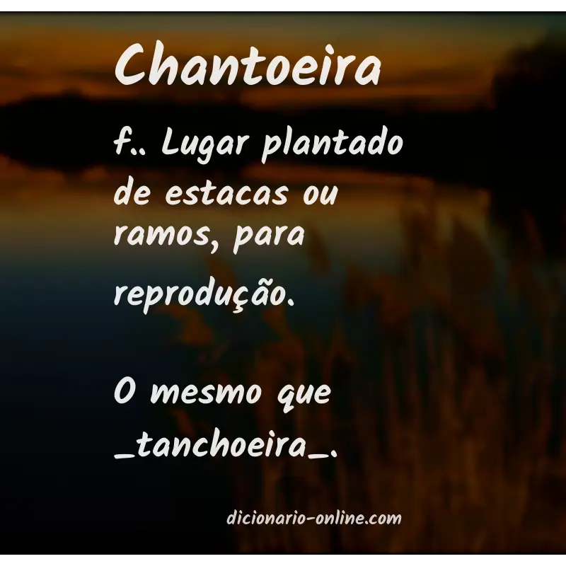 Significado de chantoeira