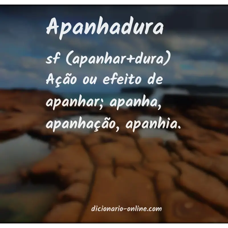 Significado de apanhadura