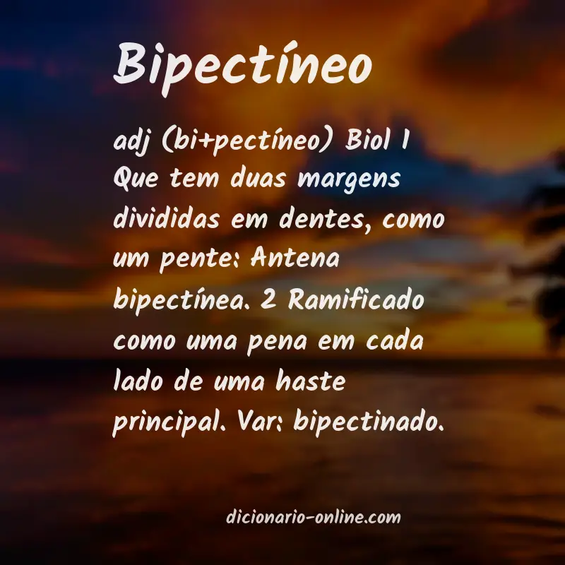 Significado de bipectíneo