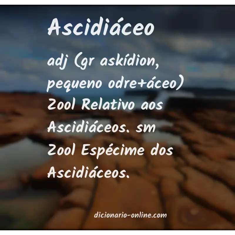 Significado de ascidiáceo