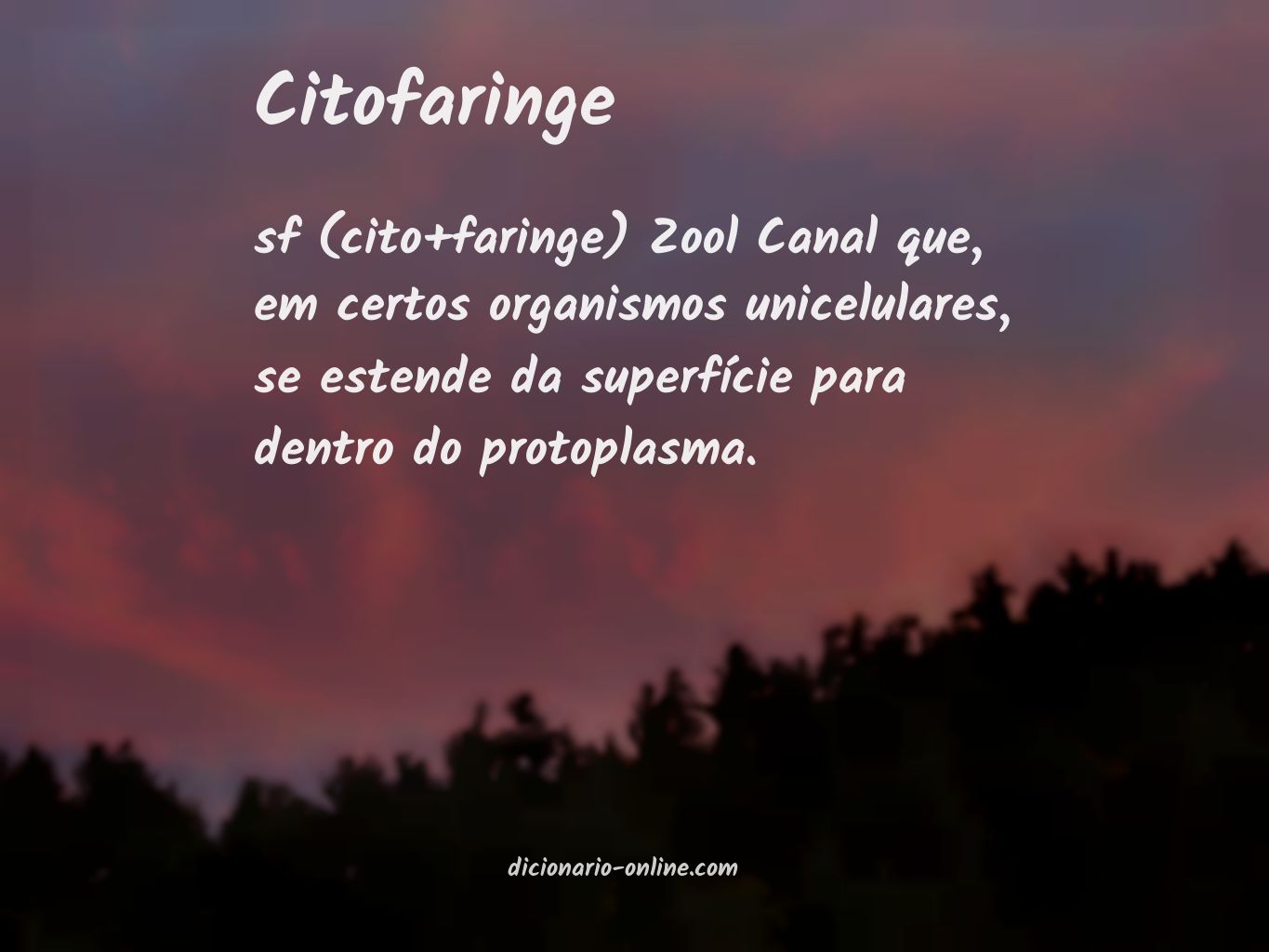 Significado de citofaringe