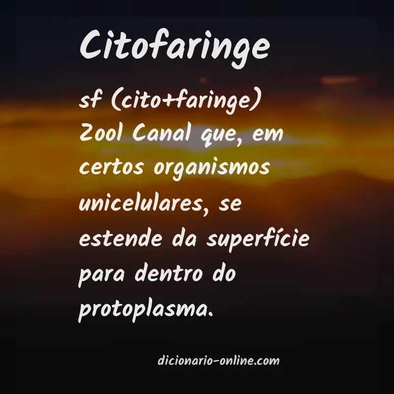 Significado de citofaringe