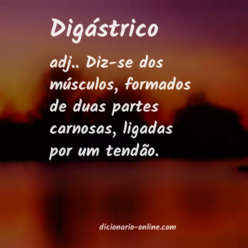 Significado de digástrico