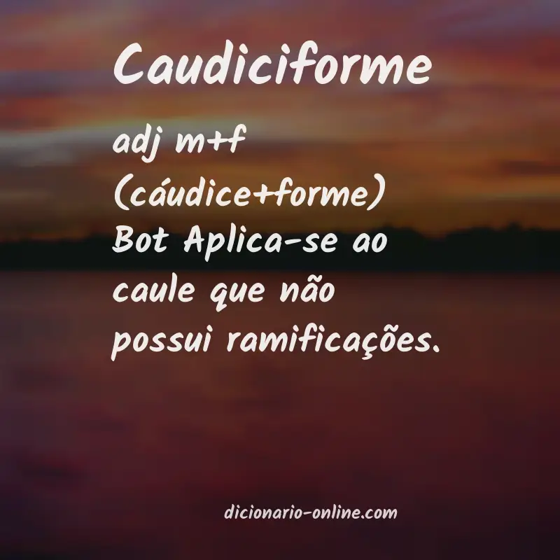 Significado de caudiciforme
