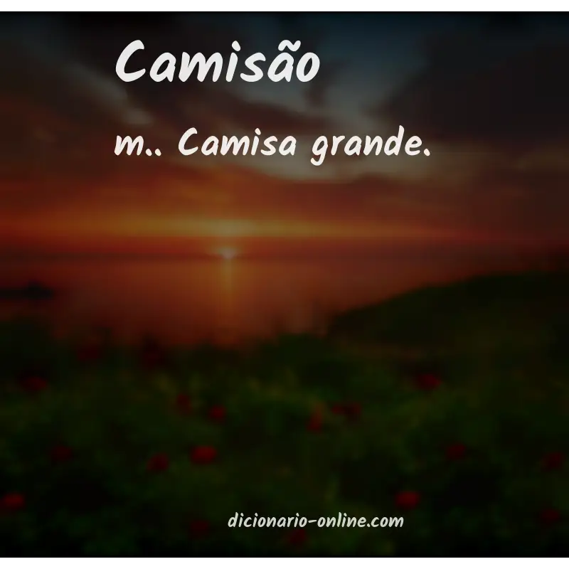 Significado de camisão