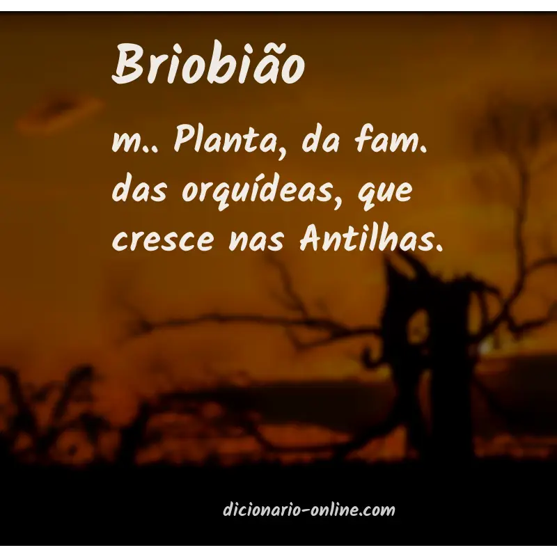 Significado de briobião
