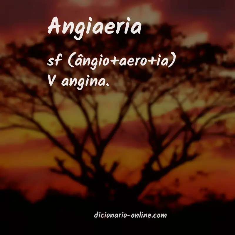 Significado de angiaeria