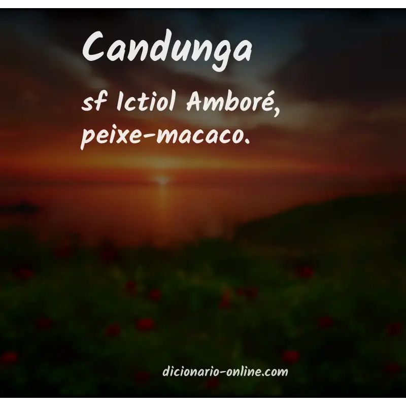Significado de candunga